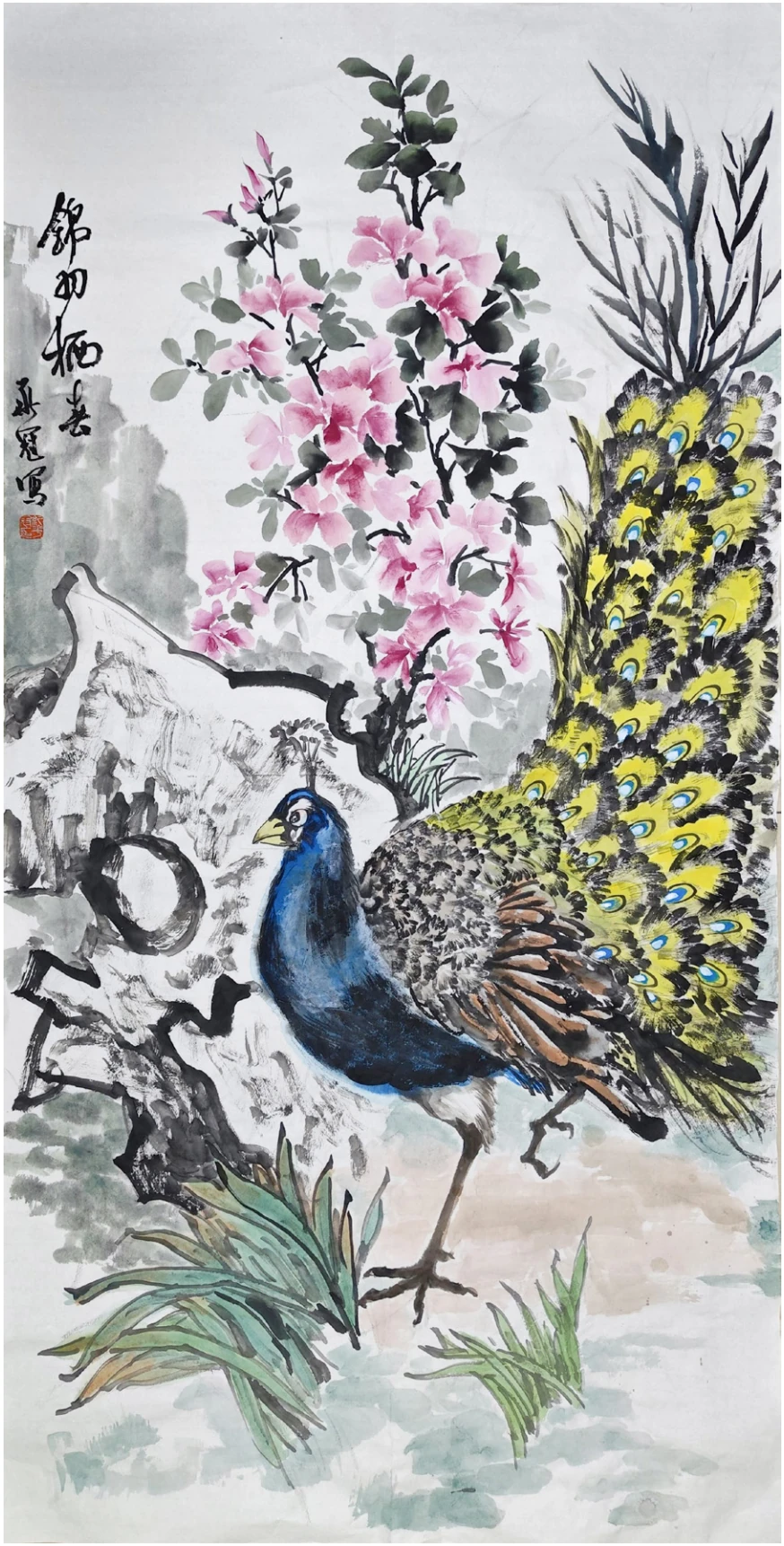 锦羽栖春