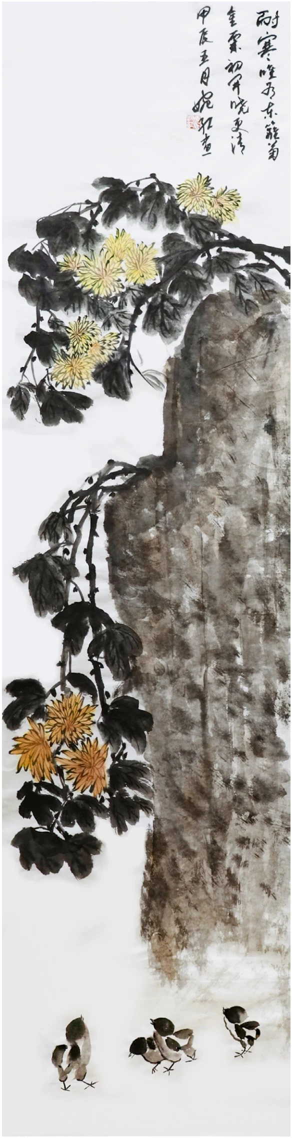 傲菊