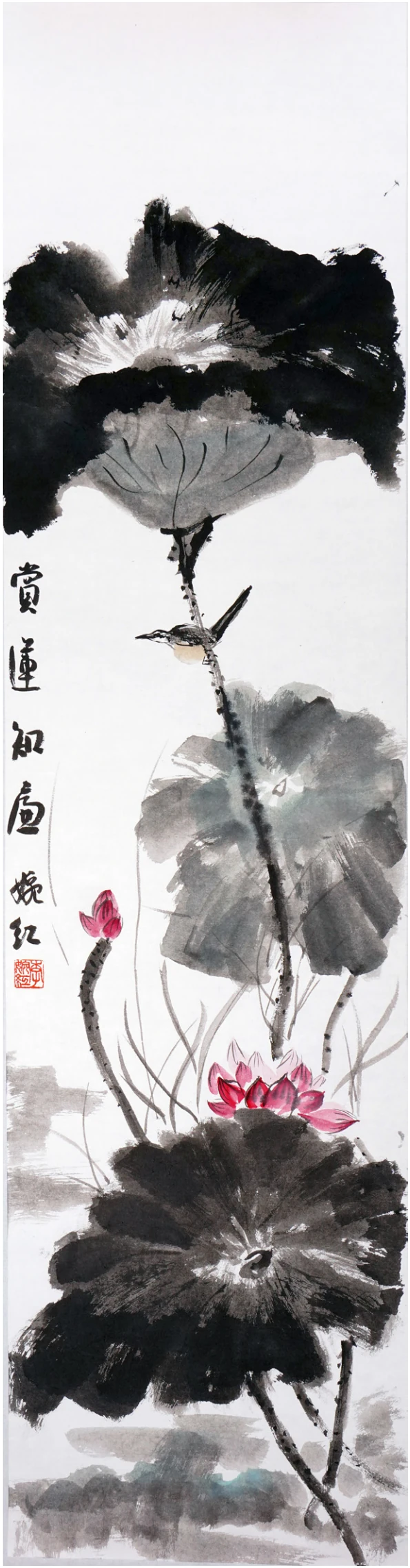赏莲知廉