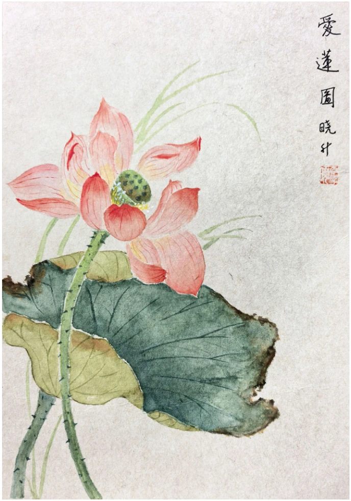 爱莲图